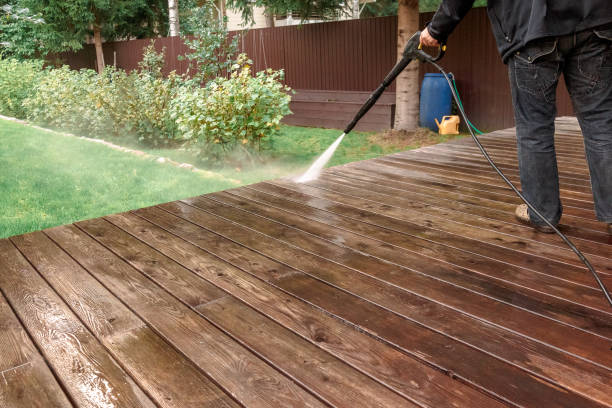 Best Gutter Cleaning  in Bladensburg, MD